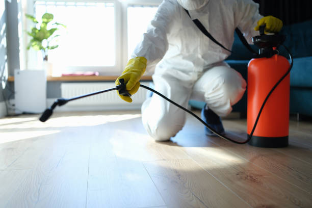 Reliable Odor Removal contractor in Montclair, VA by Trauma Clean Pros